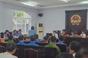 Tòa tạm dừng xét xử với một bị cáo là chủ doanh nghiệp để trưng cầu giám định tâm thần 