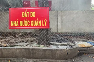 Bà Rịa - Vũng Tàu: Sẽ cho thuê đất công chưa sử dụng trong 5 năm để tránh lãng phí