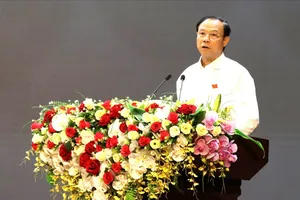 Bà Rịa - Vũng Tàu bàn việc tinh gọn bộ máy