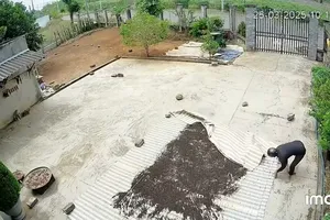 Cặp đôi nhiều lần trộm tiêu của người dân đang phơi đem bán