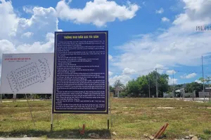 Bà Rịa - Vũng Tàu: Đấu giá thành công 84 lô đất công ở huyện Xuyên Mộc, thu hơn 123 tỉ đồng