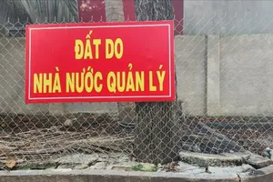 TP.HCM: Đảng ủy phường Vũng Tàu có chỉ đạo ‘nóng’ về quản lý quỹ đất công