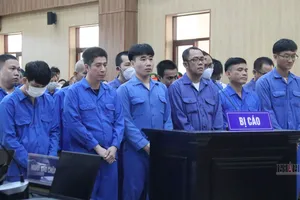Hoãn phiên tòa vụ 'hô biến' 25ha đất công thành đất tư rồi đem bán