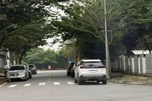 Người dân chụp ảnh gửi CSGT, nữ tài xế bị phạt vì đỗ xe ô tô chắn lối đi bộ