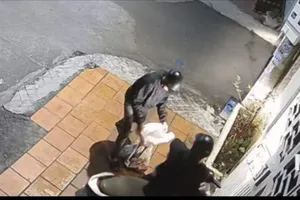 Công an tạm giữ 2 người chuyên trộm mèo