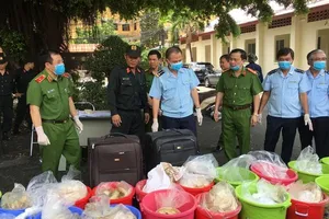 Tổng hợp thực tiễn xét xử các tội phạm về ma túy