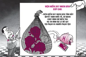 Bị bác kháng nghị, Viện Cấp cao 'cầu cứu' Viện Tối cao