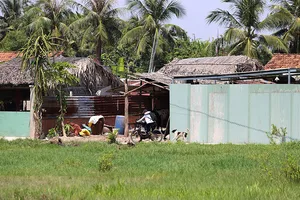 Sở TN&MT TP.HCM xin giải quyết gộp nhiều thủ tục nhà, đất