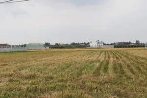 Trường hợp nào chuyển mục đích sử dụng đất mà không cần xin phép?