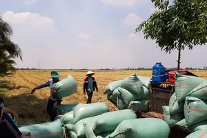 Khẩn cấp giải phóng hơn 10 triệu tấn lúa, cá… tồn đọng