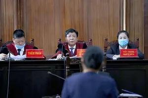 Viện sĩ Đỗ Văn Đại: Nên có án lệ về thời điểm xác định thiệt hại