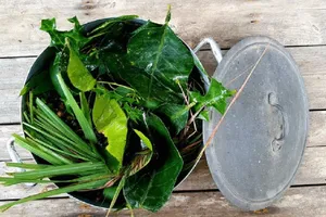 2 phương pháp xông nơi ở bằng các loại thuốc, tinh dầu