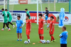 Vai trò VFF và áp lực nặng nề của ông Park