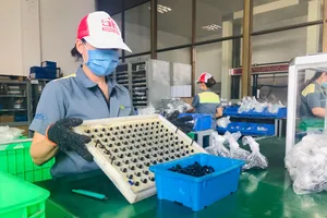 Doanh nghiệp xoay xở kiếm tiền thưởng tết