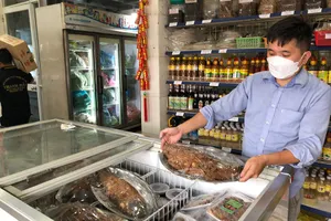 Món ngon, vật lạ khắp nơi đổ về TP.HCM đón tết