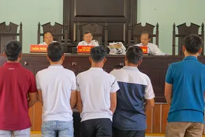 Vụ cưa gỗ khô: 'Cần trả lại sự trong sáng của pháp luật'