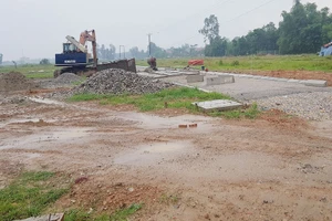 Gần 26.000 m2 đất ở TP.HCM bị phát hiện có vi phạm về lãng phí