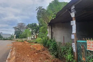 Cò đất móc nối thổi giá ở Buôn Ma Thuột