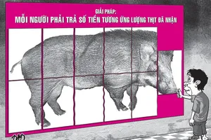 Con heo rừng sổng chuồng, 11 người phải hầu kiện 