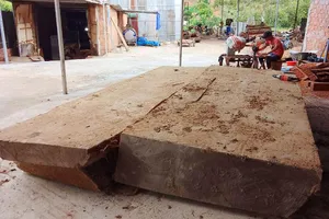 Vớt được gỗ lạ: Hành xử sao cho đúng luật?