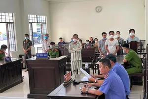 Trưởng ban quản lý rừng chỉ đạo cấp dưới tổ chức khai thác gỗ lậu