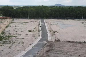 Bà Rịa-Vũng Tàu sửa quy định tách thửa đất nông nghiệp