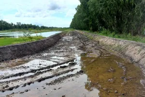 Lập đoàn kiểm tra vụ sân đua bò 20.000 m2 không phép