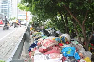 Có bảng cấm, vẫn vô tư đổ rác