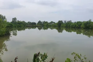 Tòa tuyên phải bán đất vì đã lớn tuổi mà còn ở xa đất