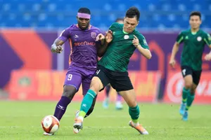 Lãng phí quá lớn khi V-League tạm dừng