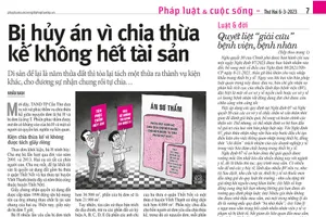 Vụ chia thừa kế không hết tài sản: Giải quyết sao mới đúng?