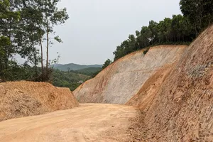 Chưa chuyển đổi đất rừng đã san ủi làm đường