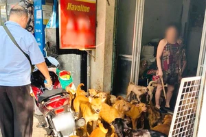 Vụ nuôi 79 con chó gây ồn ào, ô nhiễm: Không thể bó tay!