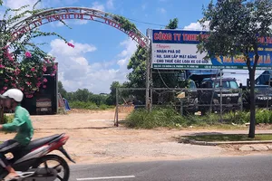 Vụ nữ sinh mất 1 chân sau tai nạn: Thi hành án 'bó tay' vì doanh nghiệp đổi tên, không có tài sản