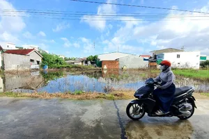 Chủ tịch Khánh Hòa yêu cầu Chủ tịch TP Nha Trang khẩn trương thi hành 1 bản án hành chính