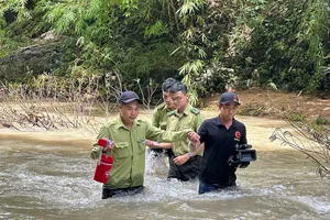 Sở NN&PTNT Bình Thuận lý giải việc chuyển hơn 600 ha rừng làm hồ thủy lợi