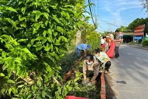 TP.HCM: Huyện Bình Chánh mạnh tay xử lý cơ sở gây ô nhiễm