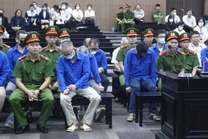 Vụ cao tốc Đà Nẵng - Quảng Ngãi: Tranh luận về kết quả giám định