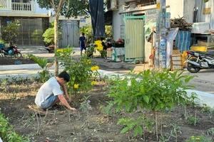 Những bãi rác “biến” thành công viên, khu vui chơi
