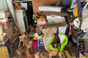 TP.HCM đề xuất quản lý chó, mèo: Hợp lý!