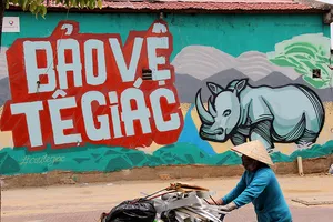 Ngắm những bức tường bẩn ở quận 1 được thay áo mới