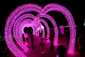 Giới trẻ đổ xô check in khu vườn đèn LED rực rỡ nhất SG