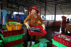 Nhịp sống hối hả ở biển Vũng Tàu trước giờ bão số 9 đổ bộ