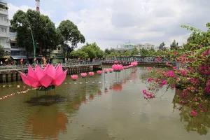 Ngắm hoa sen 7 màu 'mọc' trên kênh Nhiêu Lộc mừng Phật đản