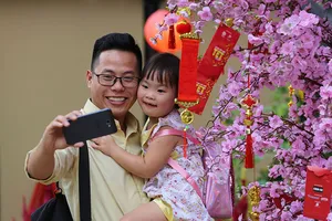 'Đến công viên Lê Văn Tám là thấy tết'