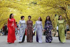 Lạc lối với đường mai vàng ở Nhà văn hóa Thanh niên 