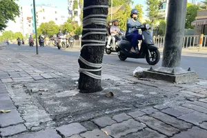 Hàng loạt cây xanh “thoi thóp”, chờ giải cứu trên đường Nguyễn Thái Sơn