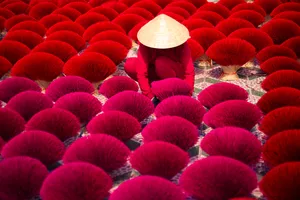 Những khoảnh khắc gây ấn tượng khi sinh viên "Đi Tìm Tết" 