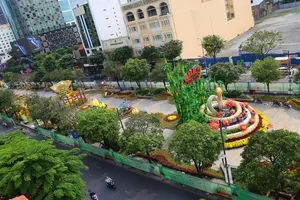 Toàn cảnh đường hoa Nguyễn Huệ Tết Ất Tỵ 2025 trước giờ khai mạc