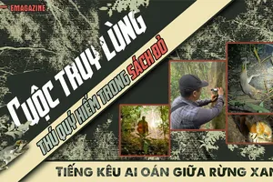 Điều tra: Cận cảnh động vật quý, hiếm ở Vườn quốc gia Cát Tiên bị bắn, bẫy